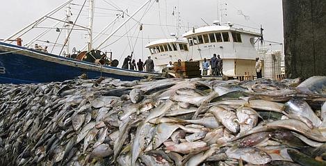 Photo représentative de la surpêche des poisson dans le monde