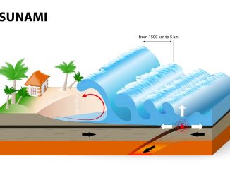 schema_tsunami