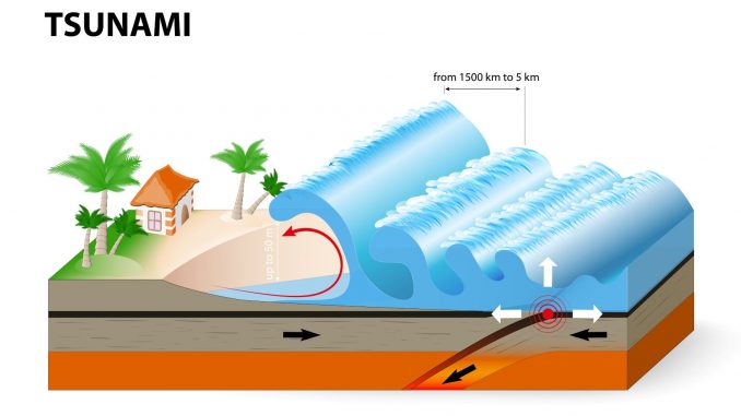 schema_tsunami