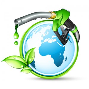 biocarburant algues