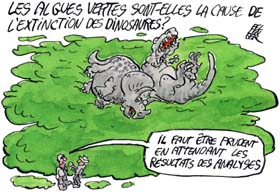 ALGUES_tueuses_DINOSAURES