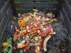 compost