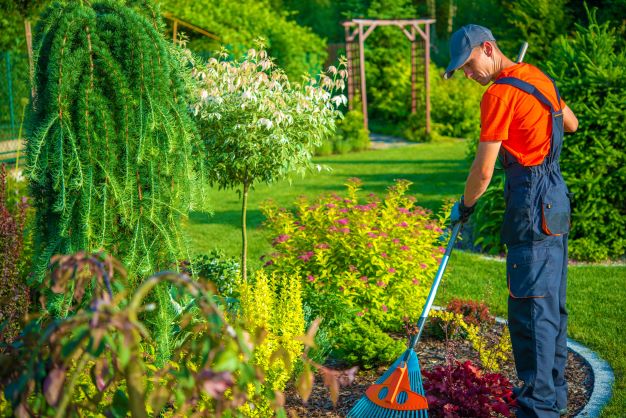 jardinier-professionnels-pour-votre-domaine