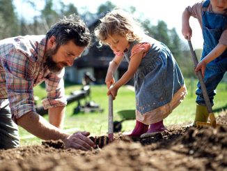 jardin-pour-une-vie-plus-ecologique