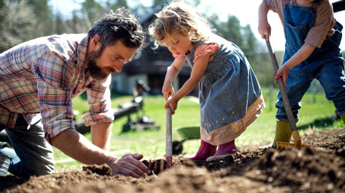 jardin-pour-une-vie-plus-ecologique